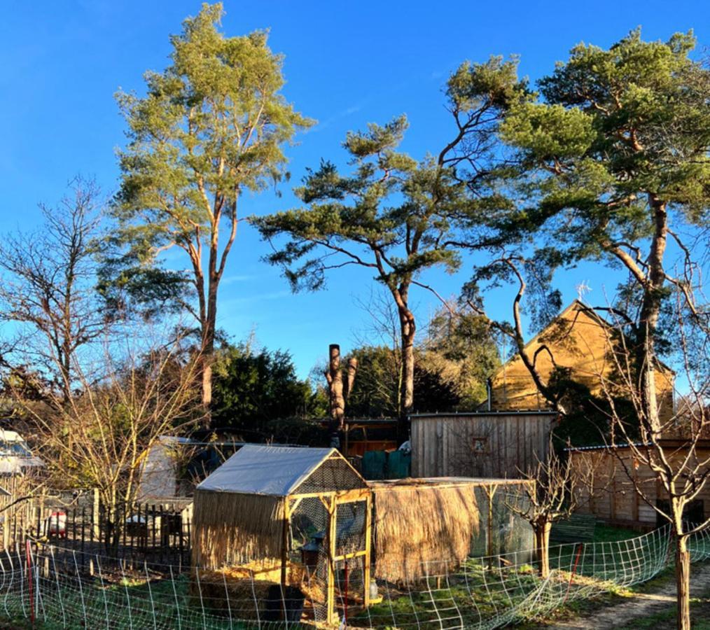 Ecolodge Beauregard Treigny Exterior photo